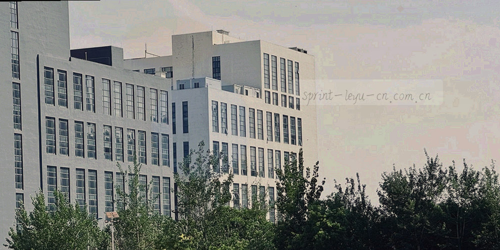 主客场进失球分布条形图与伤停状态标签并列展示